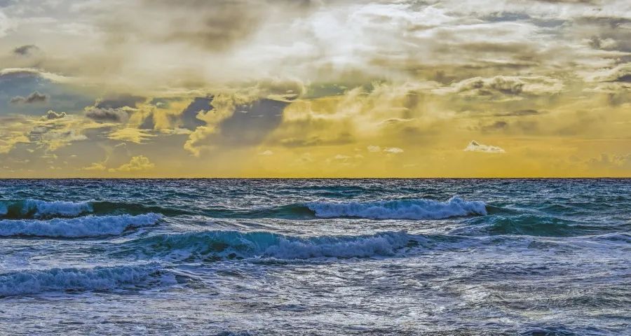 一些家电厂商并不是恐惧拼低价,那怕什么?-家电圈官网