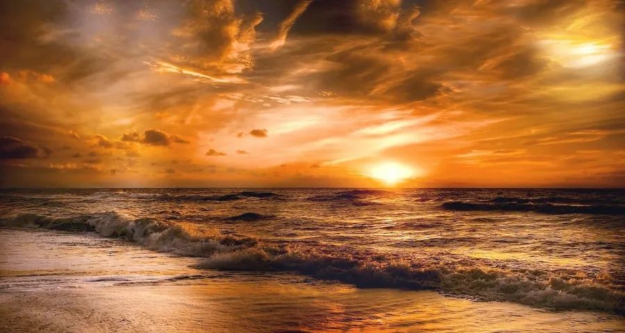 选择性躺平将是家电厂商一种新活法-家电圈官网