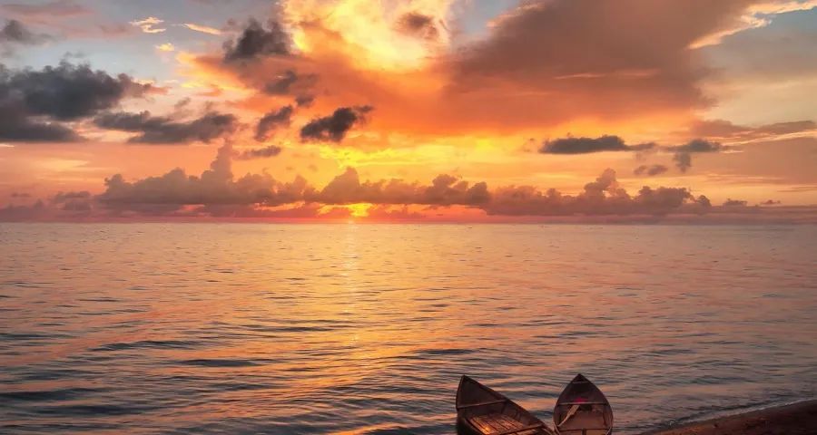 今年618家电大战会出现意外吗？-家电圈官网