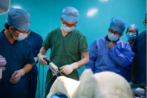 悬吊系统是什么打造BPH超微创器械矩阵，易联立通破局国外悬吊系统垄断_https://www.jmylbn.com_新闻资讯_第3张