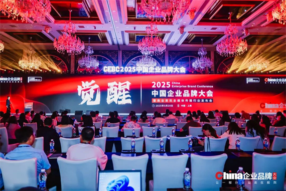 2025 中國企業(yè)品牌大會召開，華森制藥斬獲“年度十大創(chuàng)新卓越品牌”！
