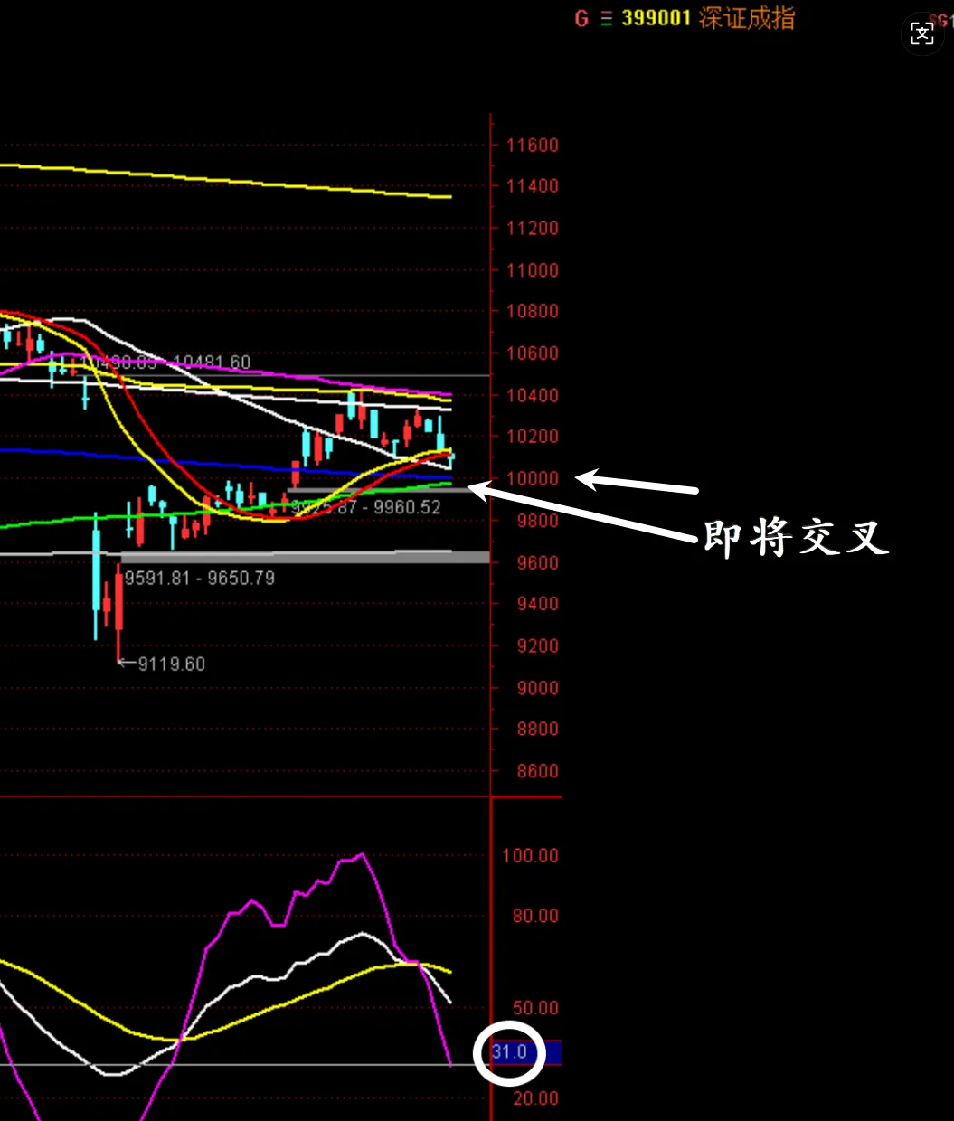 “或跌不动牛”，这个名字好！  第3张
