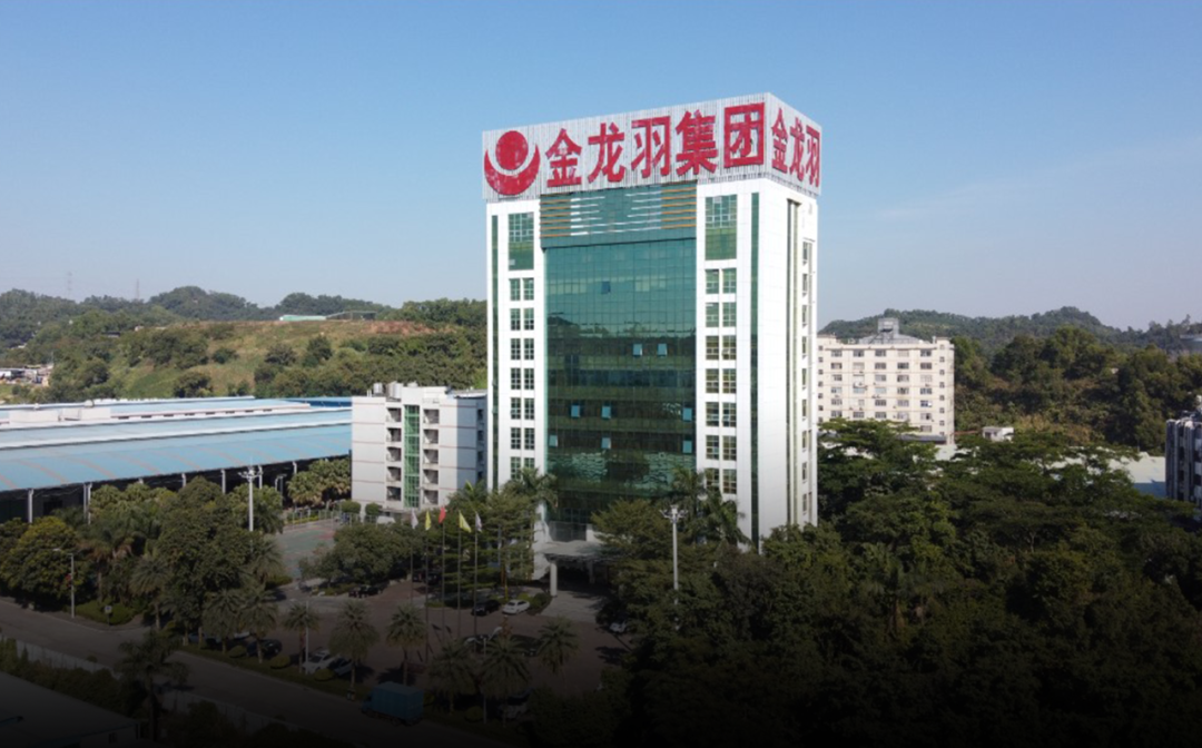 金龙羽:历次"小作文"减持往事!