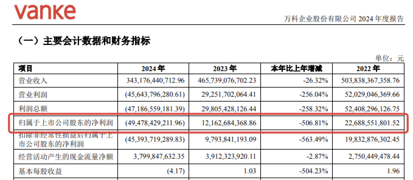 （来源：2024年财报）