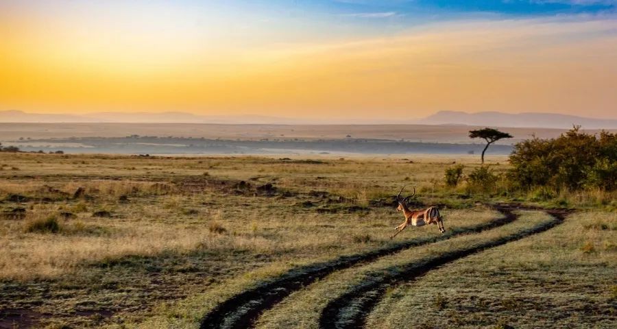 松下家电瑕疵机直卖用户的市场冲击-家电圈官网