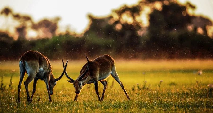 家电实体店走出困局要自己主动点-家电圈官网