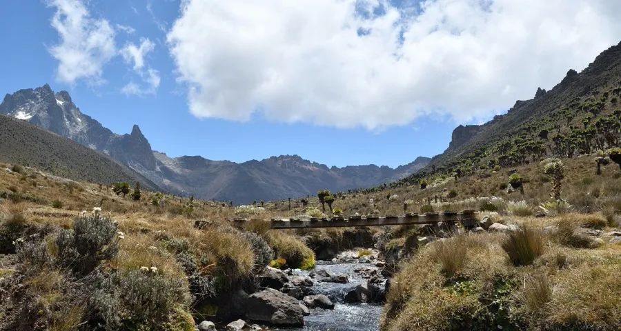 多地家电“国补”政策调整加剧618厂商恶斗-家电圈官网