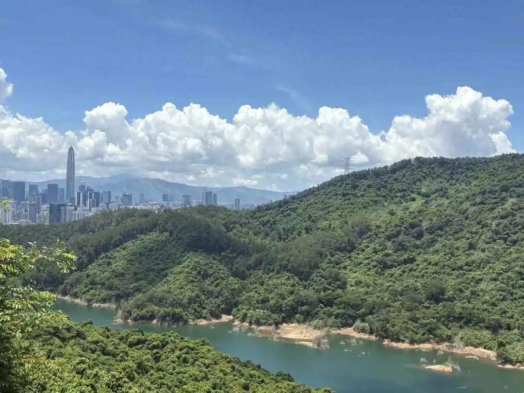 中行系險企，精進(jìn)不休
