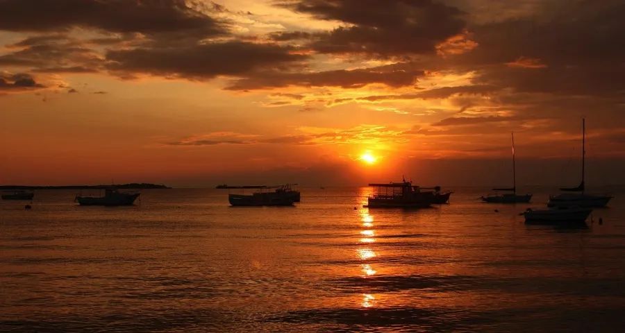 今年618家电大促由“发动机”变“抽水机”-家电圈官网