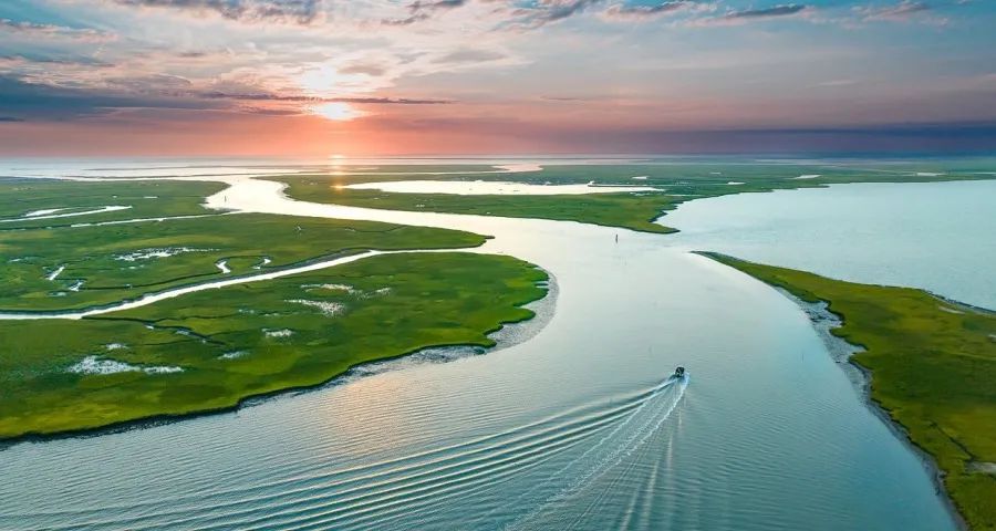 今年起家电经销商经营亏损或是常态-家电圈官网