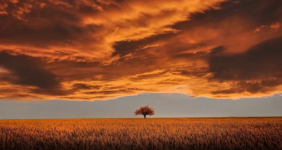 家电厂商的“一锤子买卖”彻底完蛋了-家电圈官网