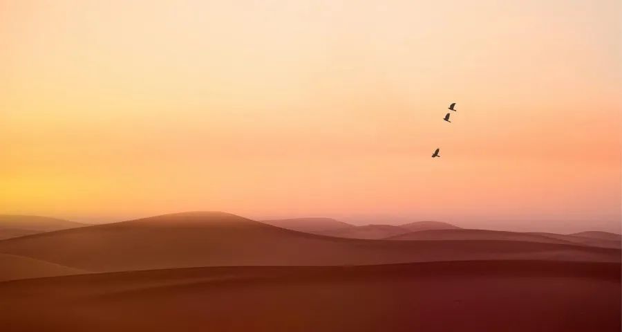 今年起家电企业不缺渠道客户缺用户!-家电圈官网