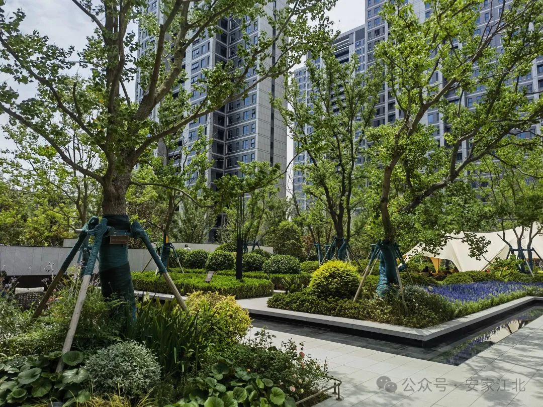 南京一线江景房,卖出了首套二手房!