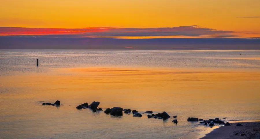 家电头部企业今年正在重振实体店-家电圈官网