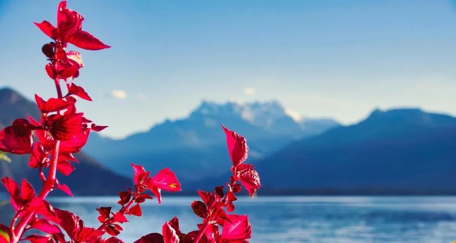 家电实体店的大门要进一步敞开-家电圈官网