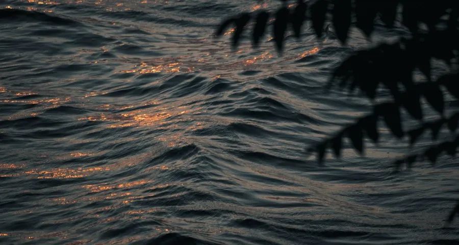 家电国补下半年开始“拼手速”-家电圈官网