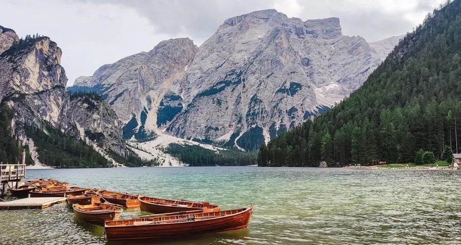 西门子美的激战中国洗碗机销量第一-家电圈官网