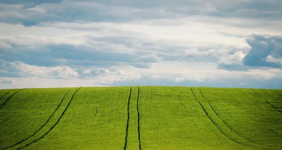 今年上半年家电市场的“三个反思”-家电圈官网