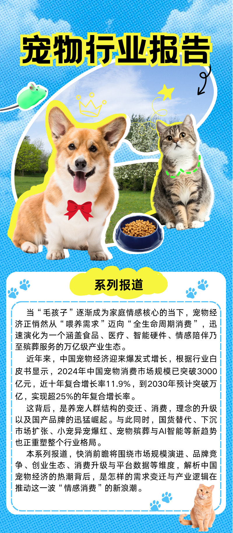 宠物经济新战局(二)| 宠物经济进入2.0时代:流量玩家、智能硬件与新消费品牌的三重变革