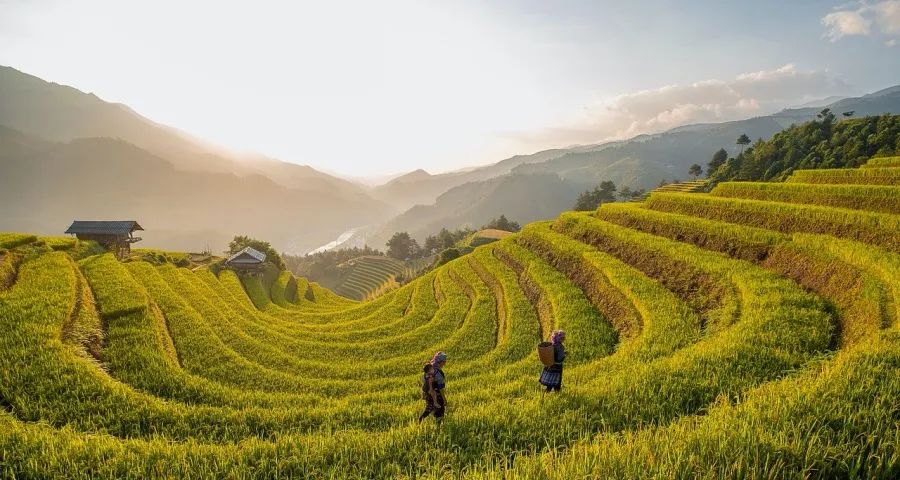 家电企业直卖用户是未来趋势吗?-家电圈官网