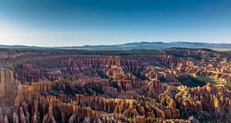 今年家电业的主流消费观被带歪了!-家电圈官网