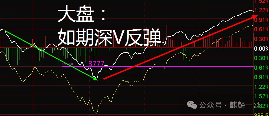 【收评】大盘如期深V反弹！_财富号_东方财富网