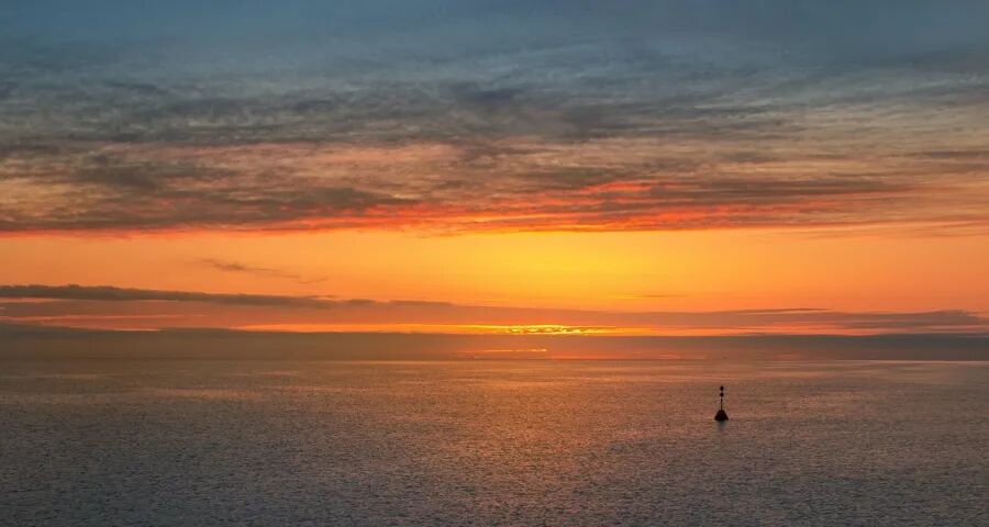 中小家电企业为何总在扩产能?-家电圈官网