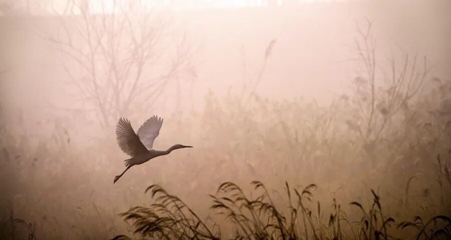 家电经销商凭什么赢得用户信任?-家电圈官网