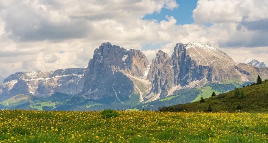 格力小米激战空调业,美的长虹海尔海信京东破局安吉尔方太上新-家电圈官网