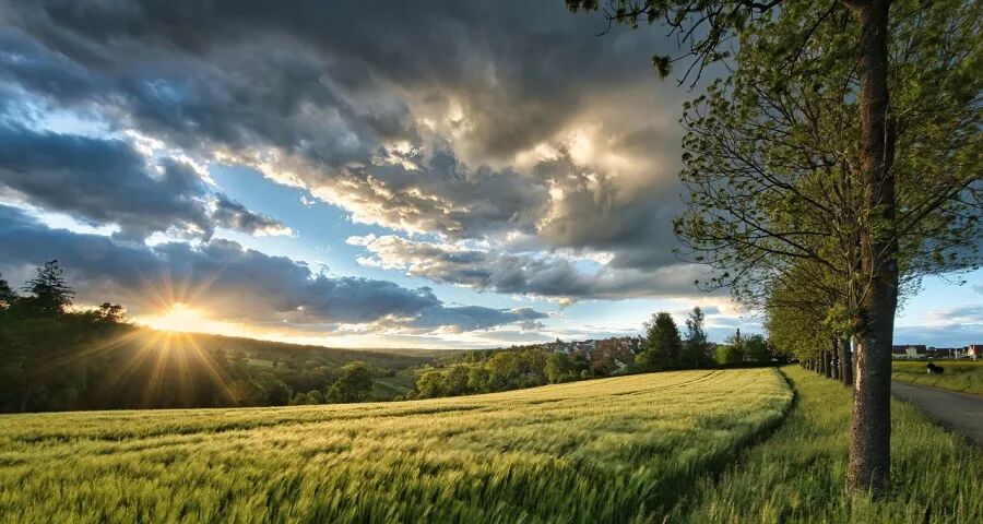 中外巨头激战多筒洗衣机,这个平台成为最大赢家!-家电圈官网