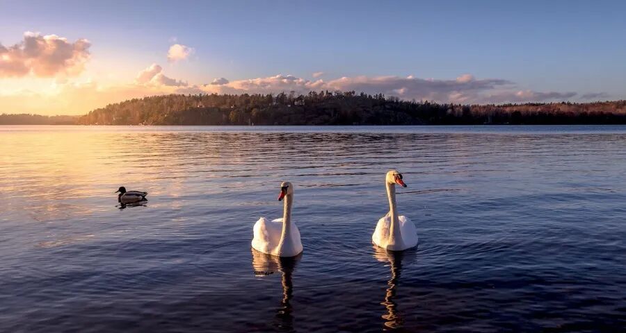 空调10年免费包修将重创家电服务商?-家电圈官网