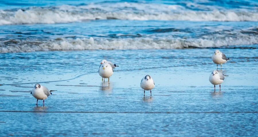 家电经销商的信心正被吃干抹净!-家电圈官网