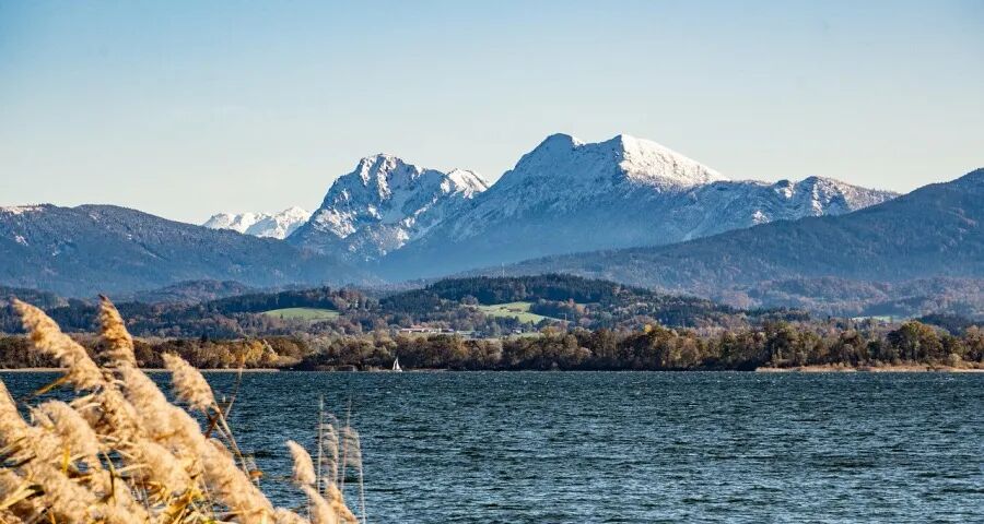 今年双11家电市场大战将出乎意料-家电圈官网