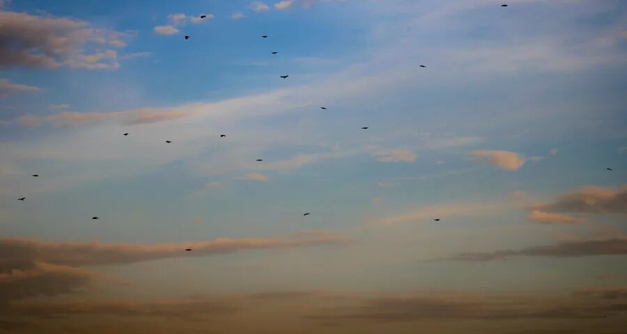 家电市场内卷化加速中小厂商出局-家电圈官网