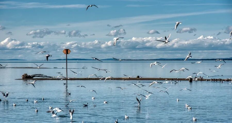 国补政策调整将彩电企业打回原形-家电圈官网