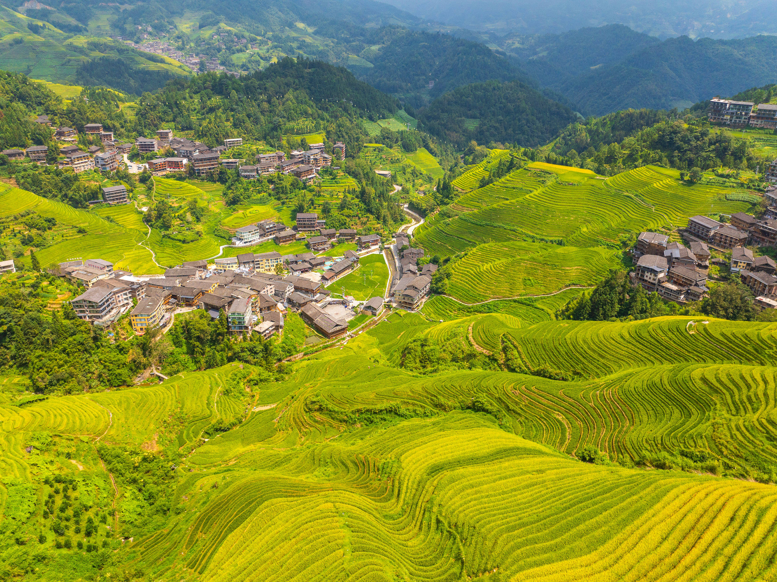 金秋十月赏广西龙嵴梯田