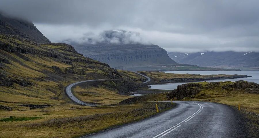 当不了“网红”的家电企业怎么办?还有一条大道可走!-家电圈官网