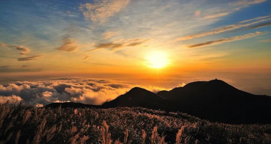 未来5年家电行业确定性机会来了-家电圈官网