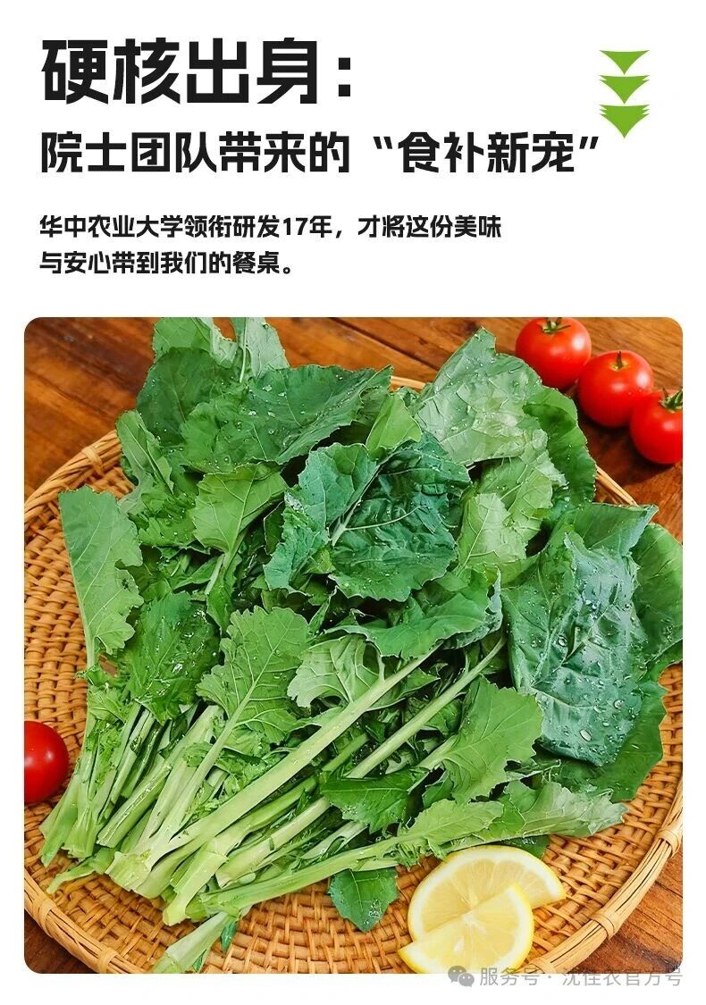 院士团队17年心血,沈佳农新品「板蓝根青菜」硬核上市!一口清甜,给日常加点“食”力Buff!-科记汇