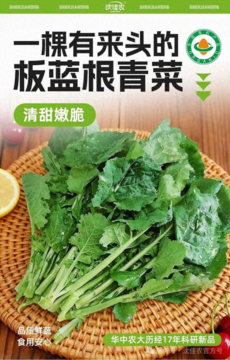 院士团队17年心血,沈佳农新品「板蓝根青菜」硬核上市!一口清甜,给日常加点“食”力Buff!
