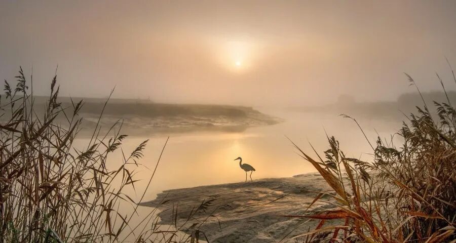 今年家电企业三季报的成败与反思-家电圈官网