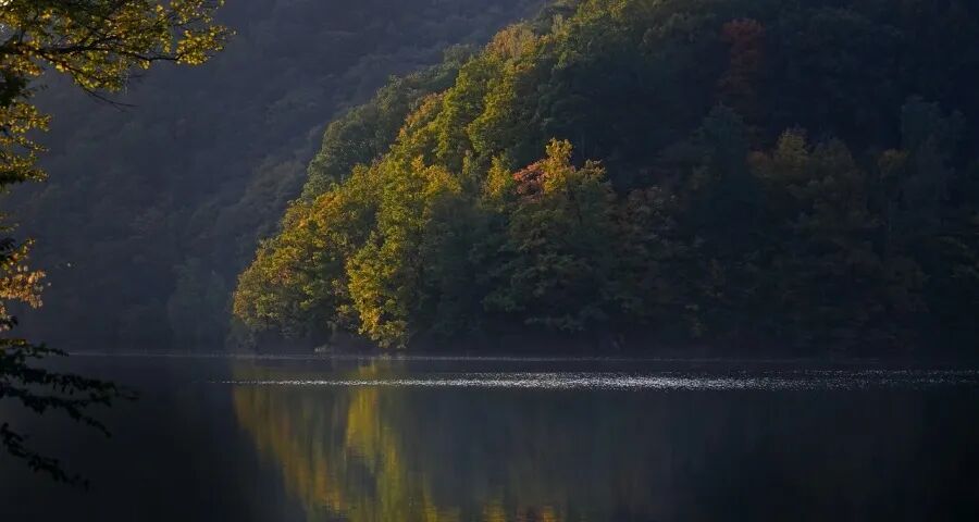 一线来信!家电存量消费的激活难度超出预期-家电圈官网