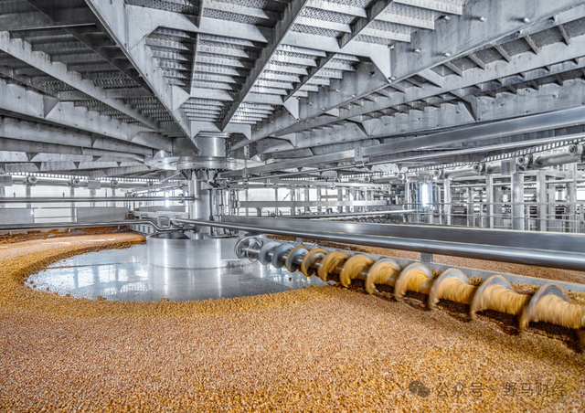 洋河股份(002304.SZ)资金状况及上市公司资金储备真实性验证分析报告