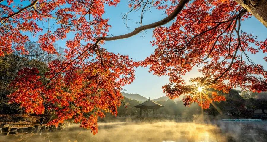 今年寒冬中藏着家电厂商的新商机-家电圈官网