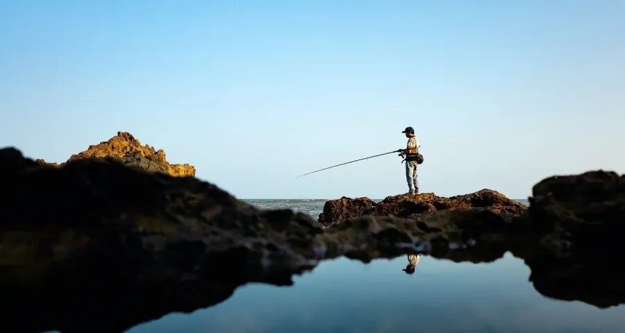 冰箱市场今年走出“多点抛物线”转向-家电圈官网