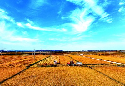 辽宁大连普兰店区:山海着丰色 乡村谱新篇