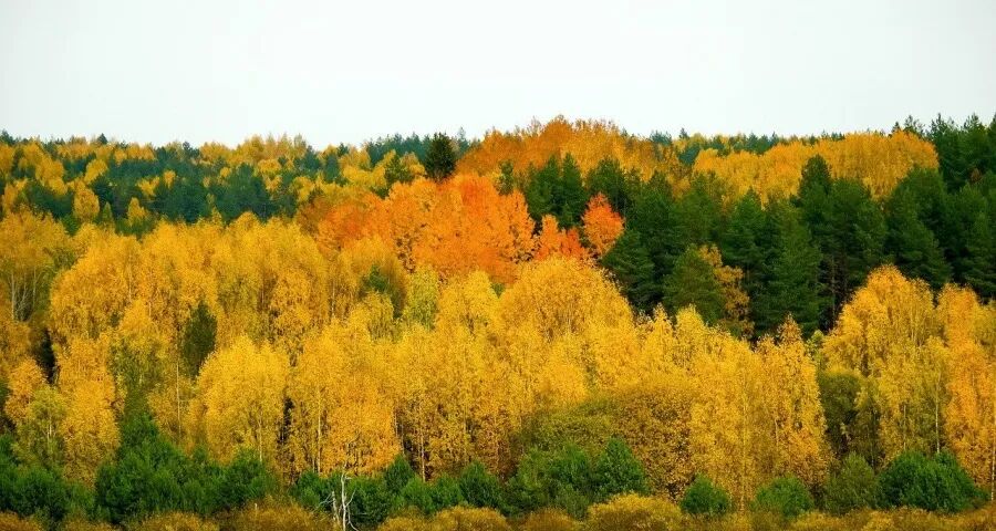 家电业不躺平!海尔美的格力方太奔跑,长虹奥克斯松下小米放拳-家电圈官网