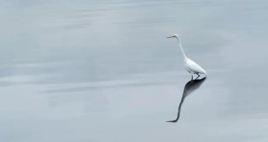 当前家电主流消费趋势正发生巨变-家电圈官网