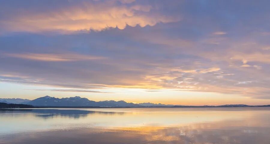 大变局下家电企业的出路与对策！-家电圈官网