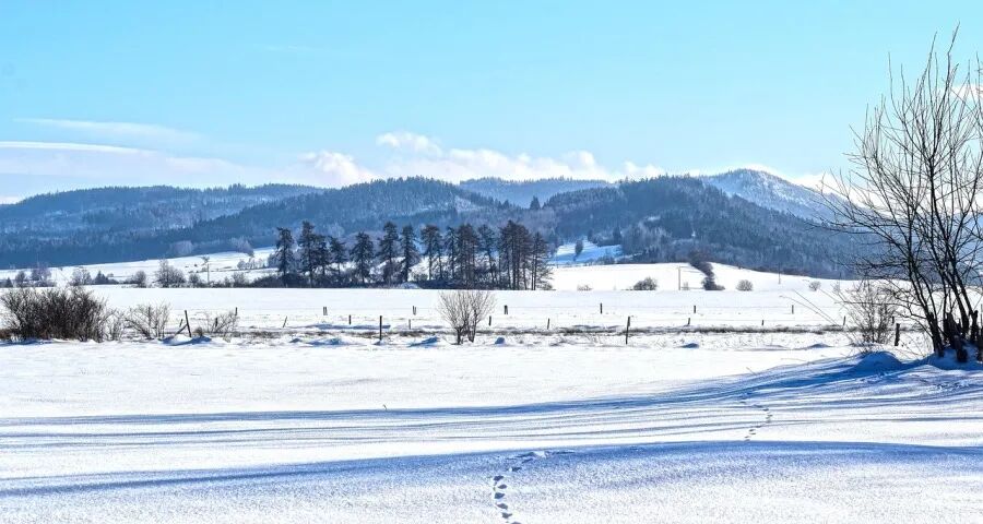 接下来家电厂商的市场抢单还缺点啥?-家电圈官网